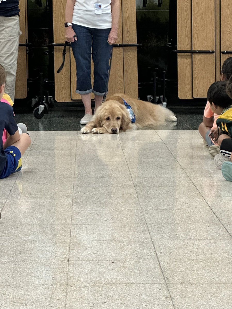 Brittney Bryan tweet media