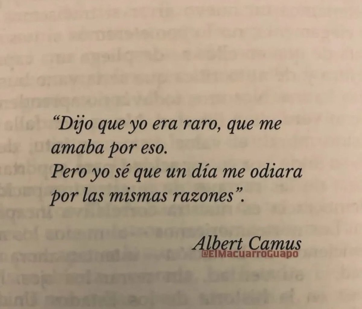 Cultura Literal (@culturaliteral1) on Twitter photo 