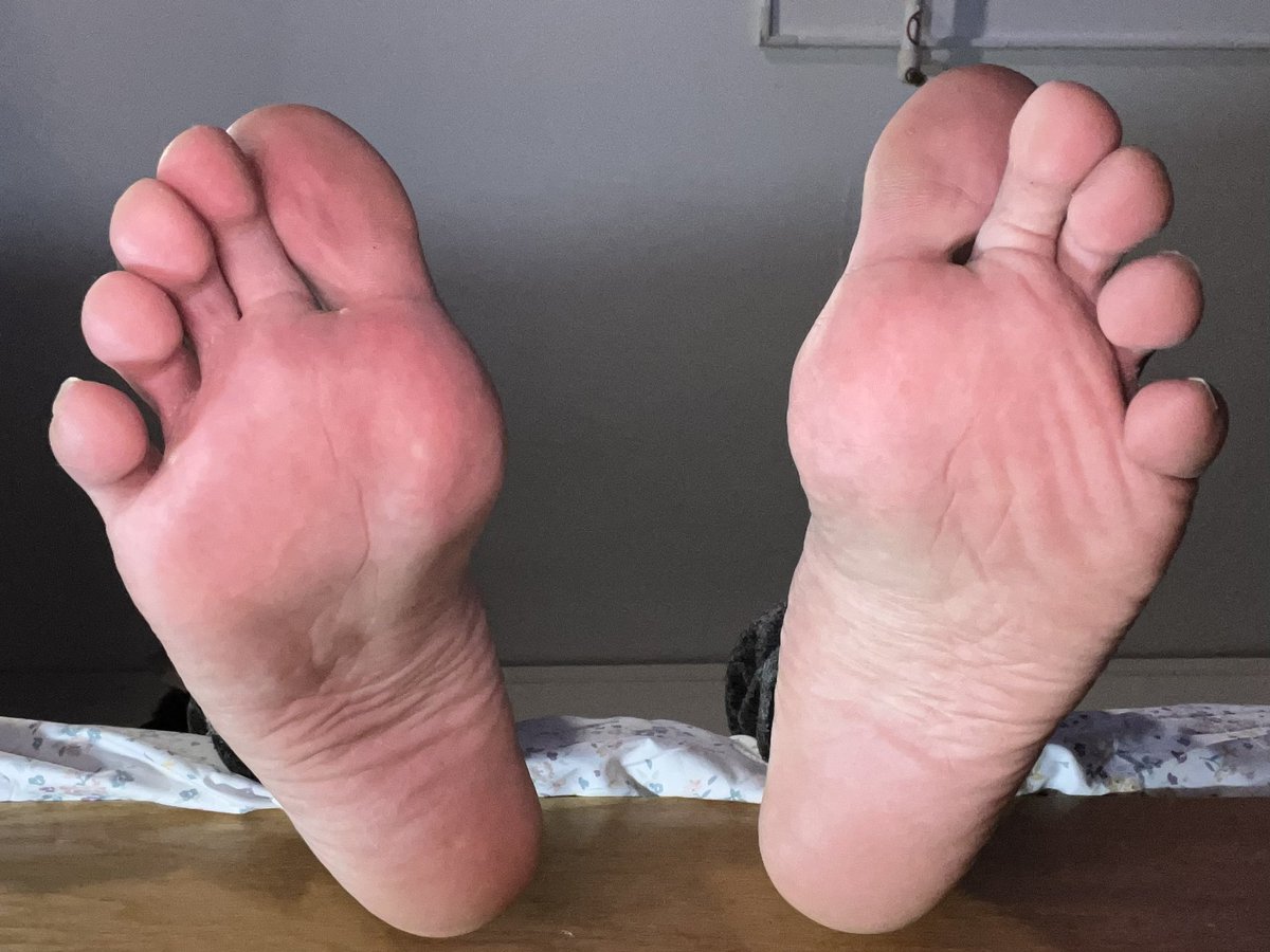 @thebasilgray.bsky.social tweet media