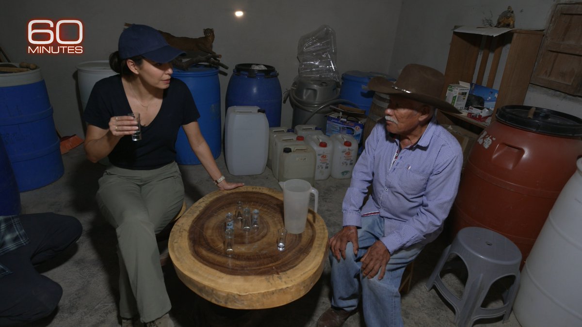 Cecilia Vega (@ceciliavega) on Twitter photo This Sunday, catch my latest story with <a href="/60Minutes/">60 Minutes</a>! We traveled to Oaxaca to see how Mezcal is made and hear from the producers about the future of this booming industry. This Sunday, catch my latest story with <a href="/60Minutes/">60 Minutes</a>! We traveled to Oaxaca to see how Mezcal is made and hear from the producers about the future of this booming industry.
