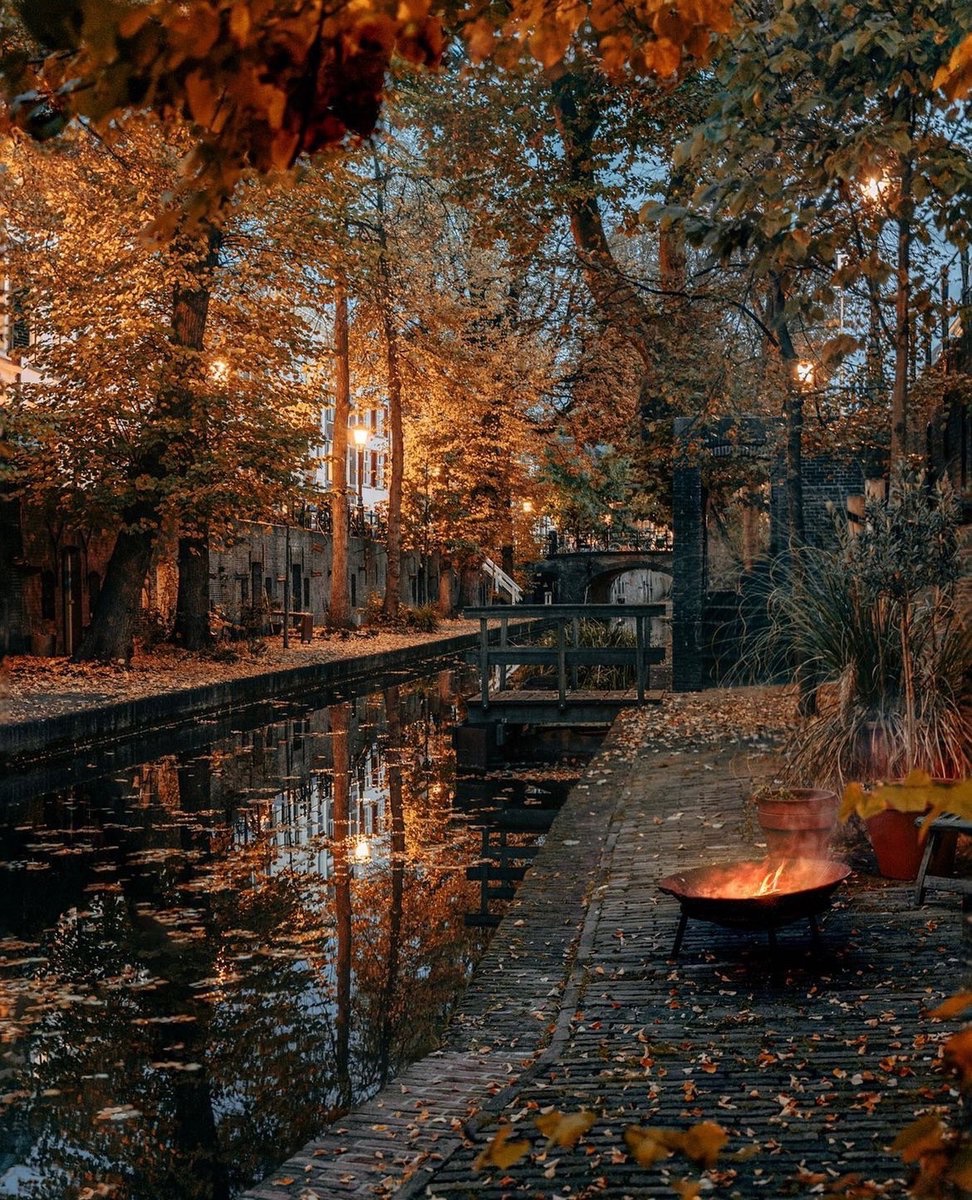 earthcurated's tweet photo. Utrecht, Netherlands ✨🍂 https://t.co/RhYPrZeUkJ