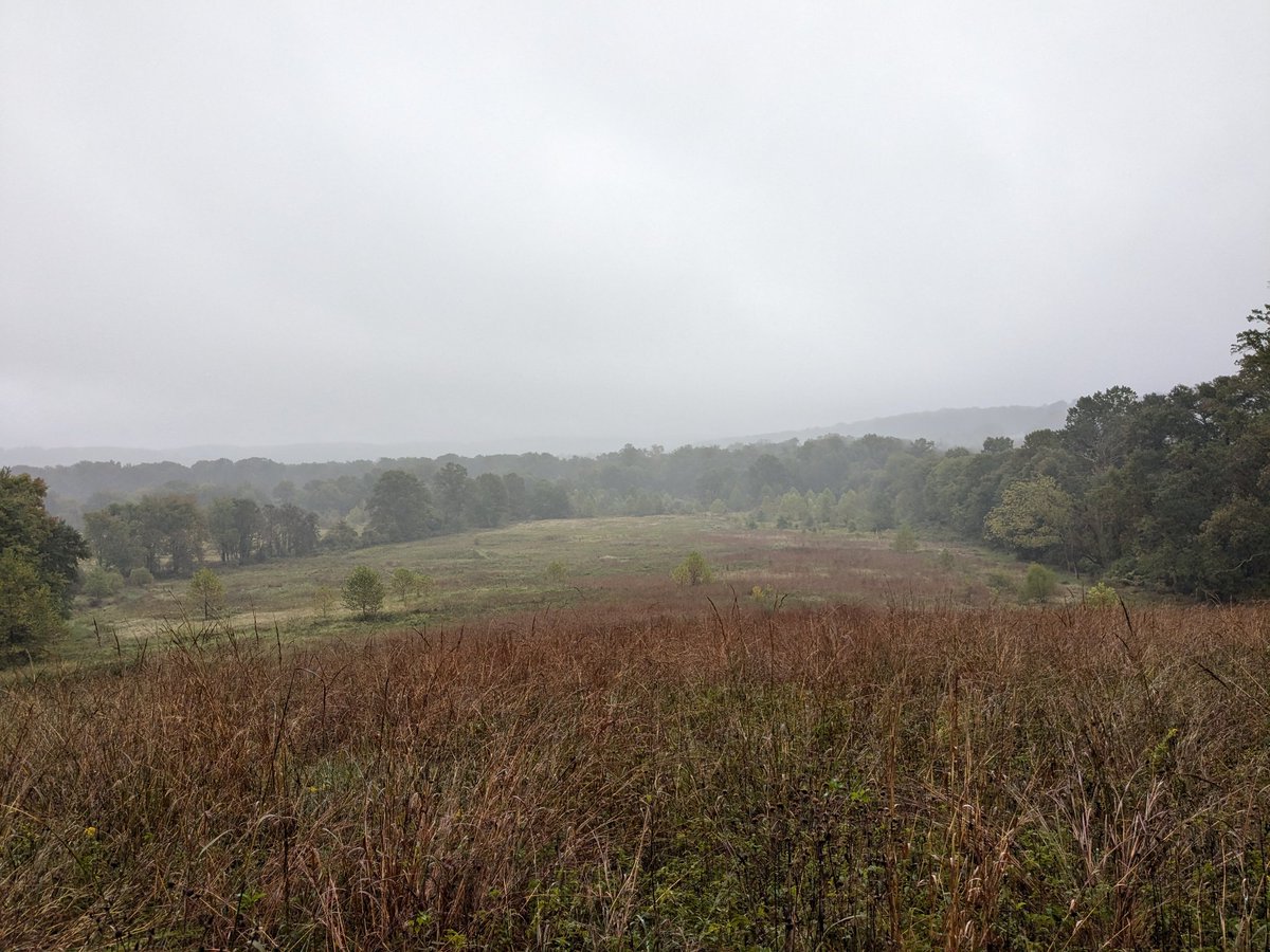 DocTsuga's tweet photo. Ecology course updates: This class is continuing our salamander project. We spent the last 2 weeks surveying 14 cover board transects across 2 properties. Students will next propose projects to better understand the patterns of where salamanders are and aren't. https://t.co/ggtVInzNwO