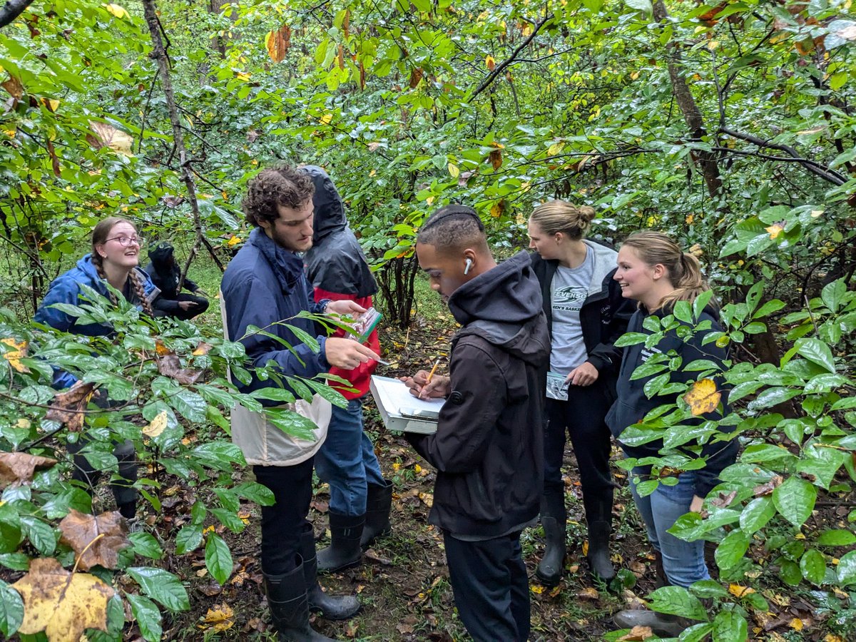 DocTsuga's tweet photo. Ecology course updates: This class is continuing our salamander project. We spent the last 2 weeks surveying 14 cover board transects across 2 properties. Students will next propose projects to better understand the patterns of where salamanders are and aren't. https://t.co/ggtVInzNwO