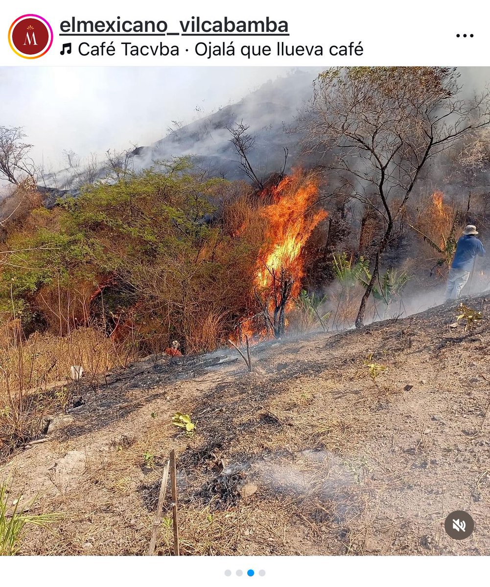 Cati Mier ☾ ♏ ☽ tweet media