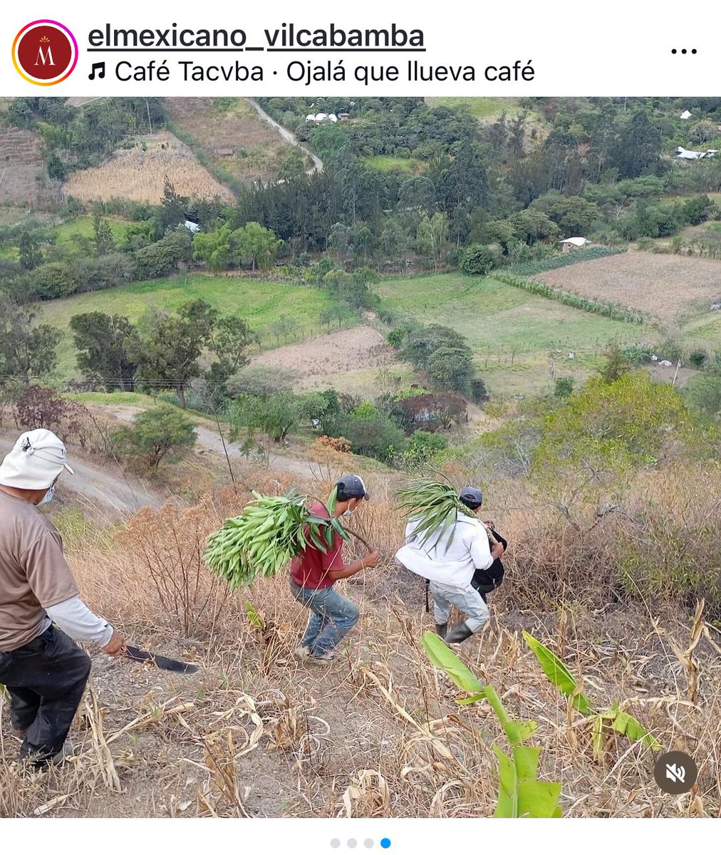 Cati Mier ☾ ♏ ☽ tweet media