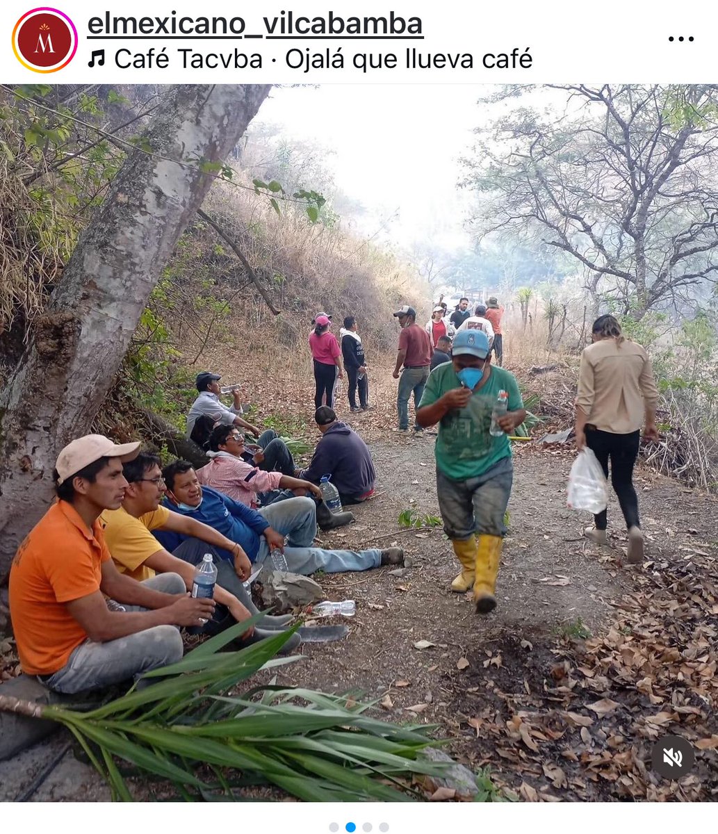 Cati Mier ☾ ♏ ☽ tweet media