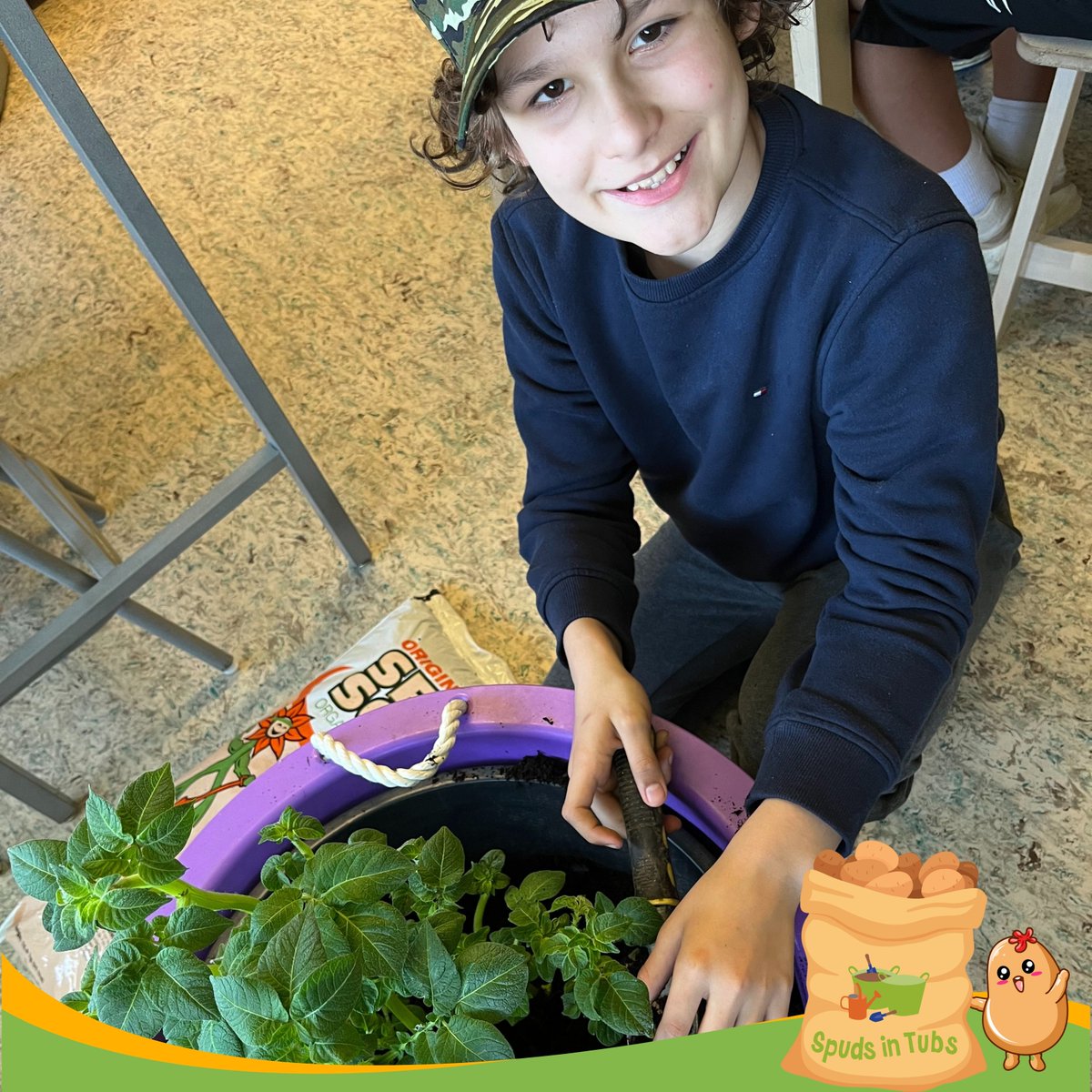 🚨 Last chance, BC Educators! 🥔 Applications for the Spuds in Tubs program close TOMORROW!

Engage your students with hands-on potato growing and harvesting in the classroom.
Apply now through MySchool: aitc.ca/bc/myschool/lo…

Don’t miss out!