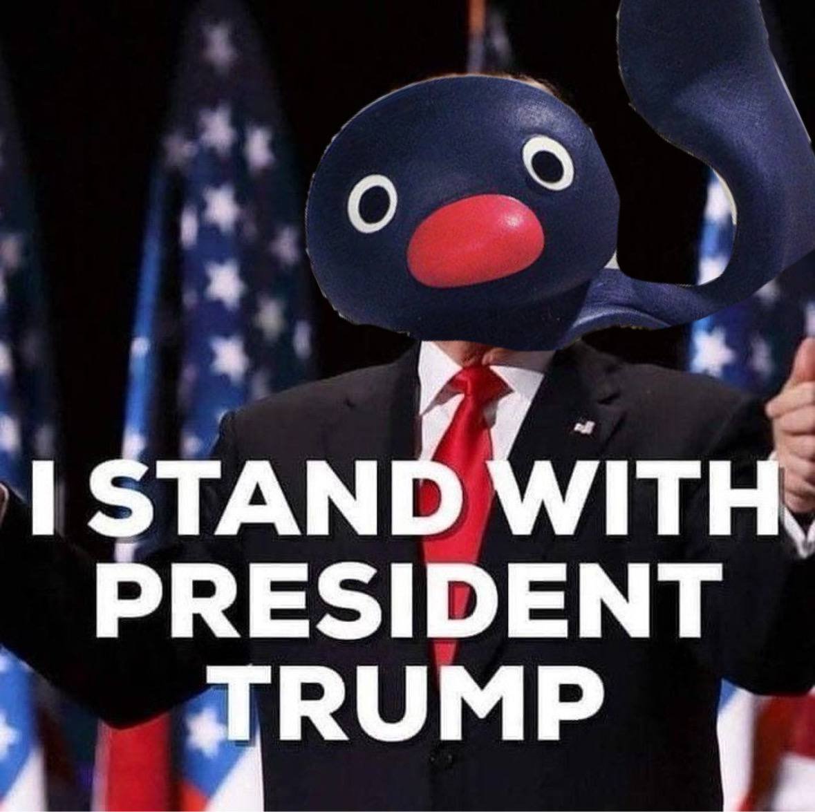 <a href="/notthreadguy/">threadguy</a> NOOT NOOT  $PINGU
 FaFBAKiNbvBj3W6MK2RRZhjnzB7XYpEviWAZEKiSpump