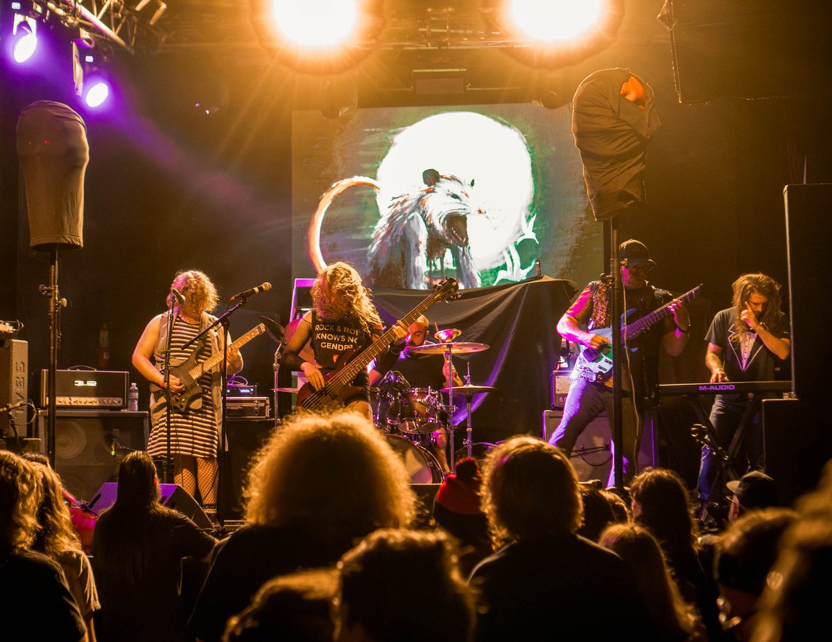 matteblacphoto's tweet image. Some favorites of @flummoxband at Trees in Dallas, TX