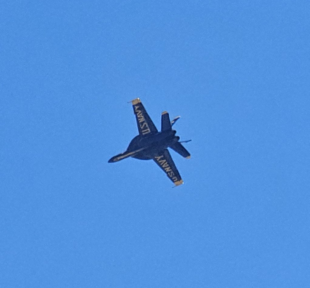 RonaldColemanPhD tweet media