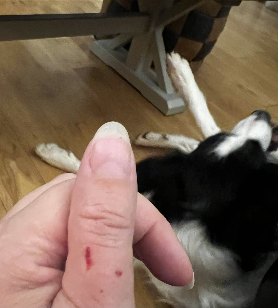 SatontheBeach 🌊 📚🌻🎸❤️ tweet media