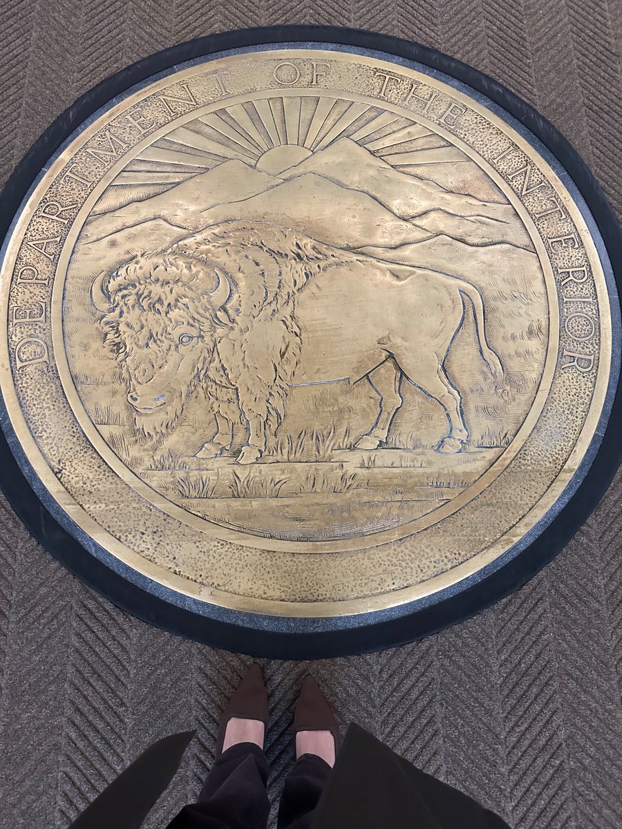 My week in DC: a photo essay.