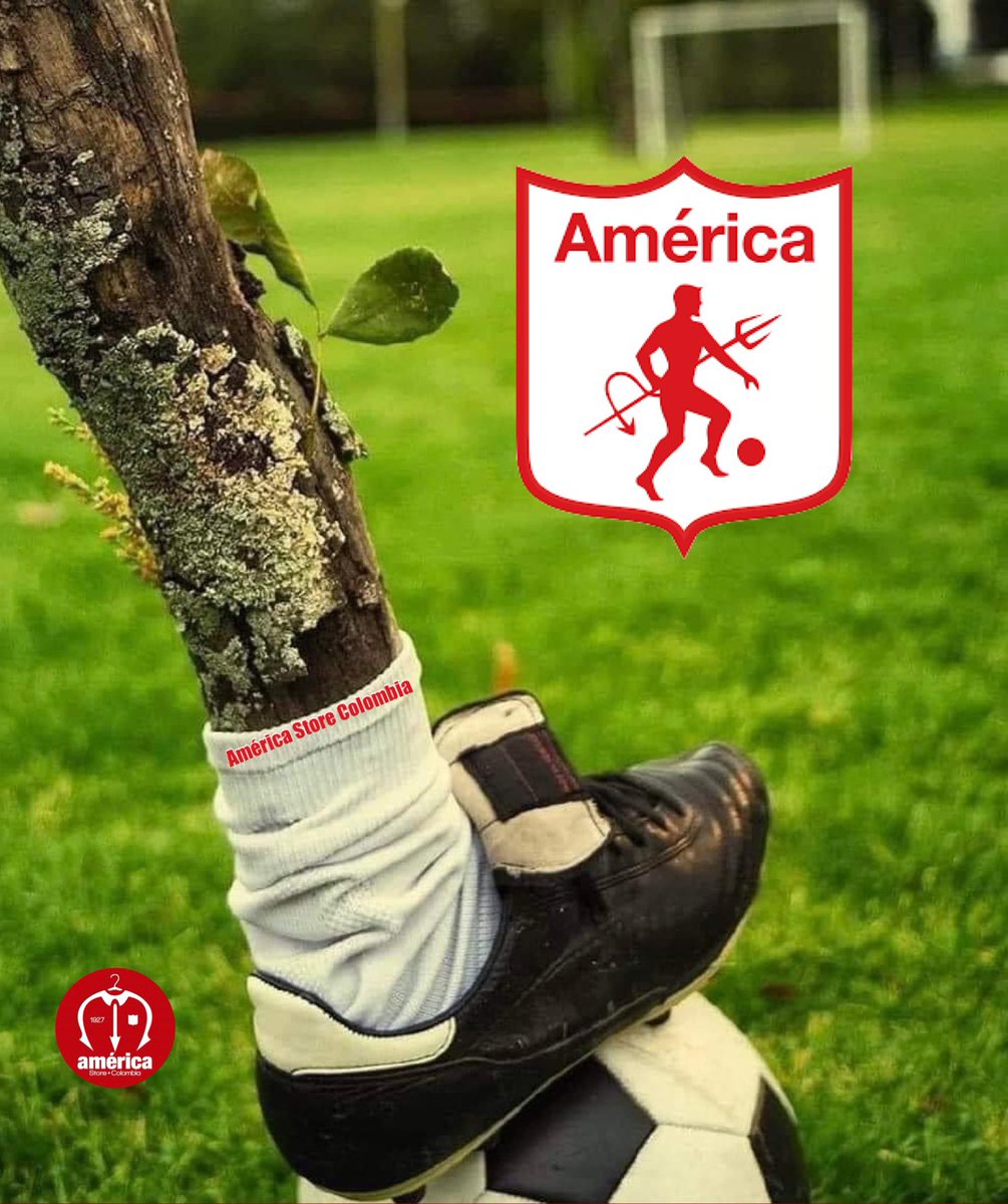 América Store Colombia tweet media