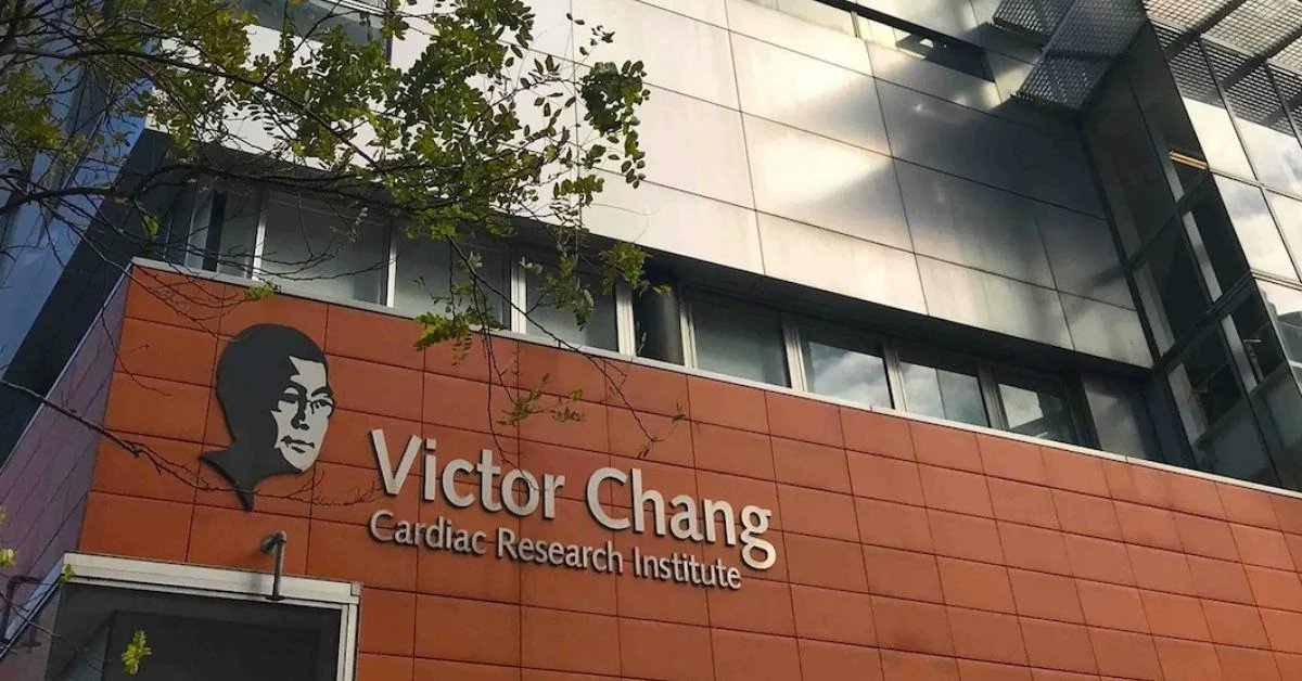 Heart disease claims one Australian life every 12 minutes, remaining the nation's leading killer.

The Victor Chang Cardiac Research Institute is at the forefront of combating this crisis, conducting world-class medical research to find cures for heart disease.

Their work