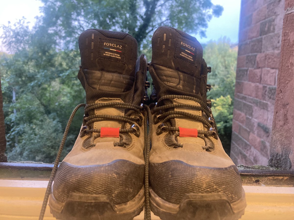 G20 Youth Project tweet media