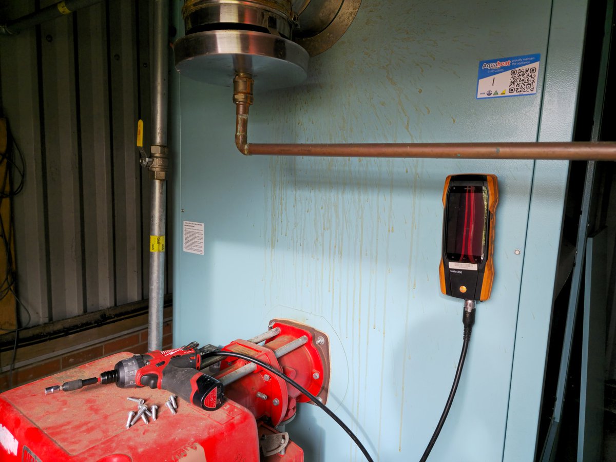 Dr Boilers 🐰 tweet media