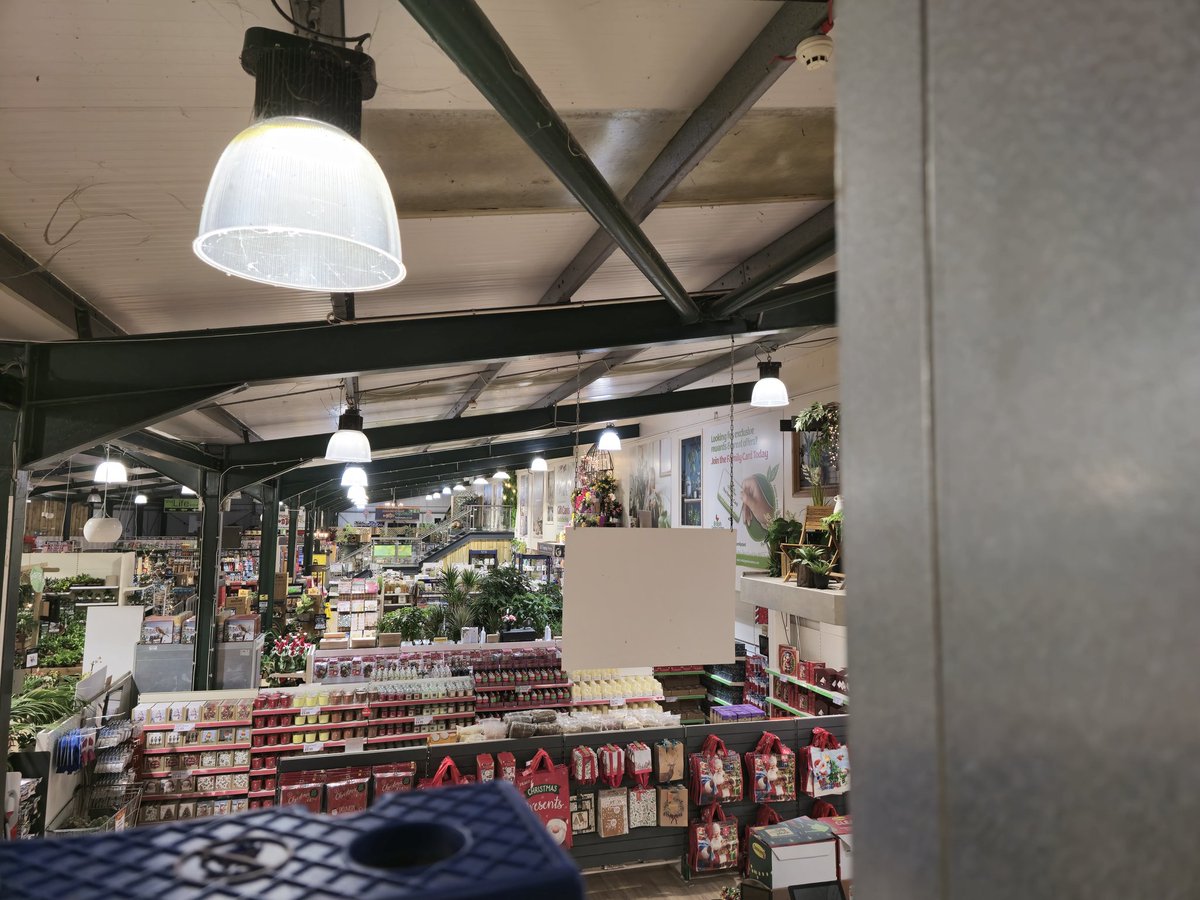 Dr Boilers 🐰 tweet media