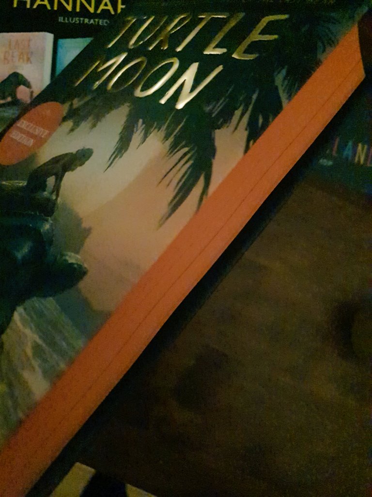 Valda_Varadinek's tweet photo. Thank you @Wonder_Bookshop for my gorgeous copy of #TurtleMoon @HGold_author 
Such a beautiful story https://t.co/DvLJnIZT3x