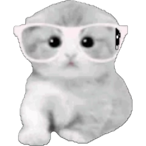 Need moots + study groups ♡ 
~ Pre-Nusing 
~ Future Forensic Nurse 🩺🩻