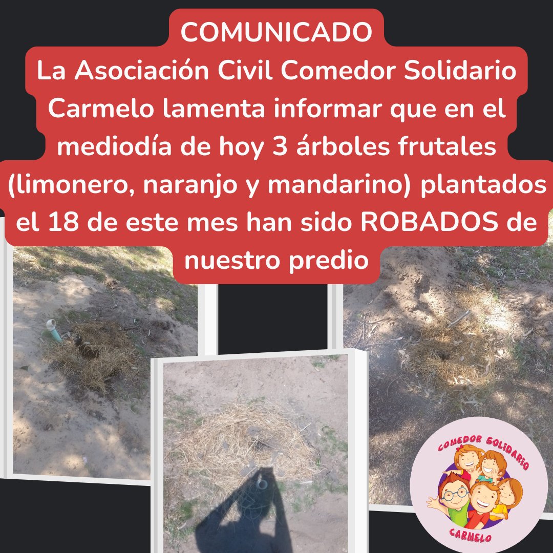 Comedor_Carmelo's tweet photo. Una inmensa tristeza nos abraza hoy. Tristes al saber que con el robo de estos 3 árboles frutales son tantas personas las damnificadas. Tristes al comprobar que NO SE ENTENDIÓ NADA. El predio cedido en comodato a la Asociación Civil es DE TODOS y PARA TODOS. https://t.co/loP9rJewn1