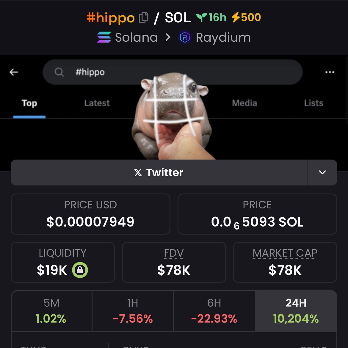 LowcapAventure's tweet photo. H5aw1gLLuqZRpQ9M1vjMYzy7GEMGBxfdoacbwfRieBnp

78k market cap $hippo

#solanamemcoin #memecoin1000x #SOL #memecoinonsolana https://t.co/Zt2pK0C20n