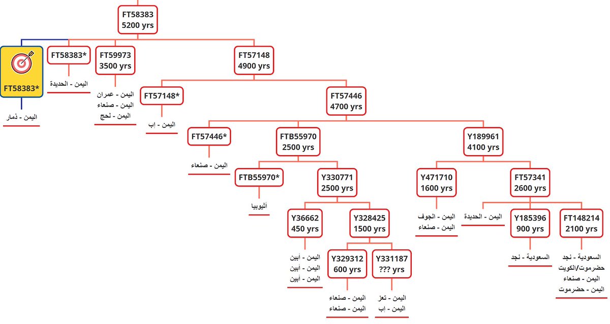 j2b-M205 tweet media