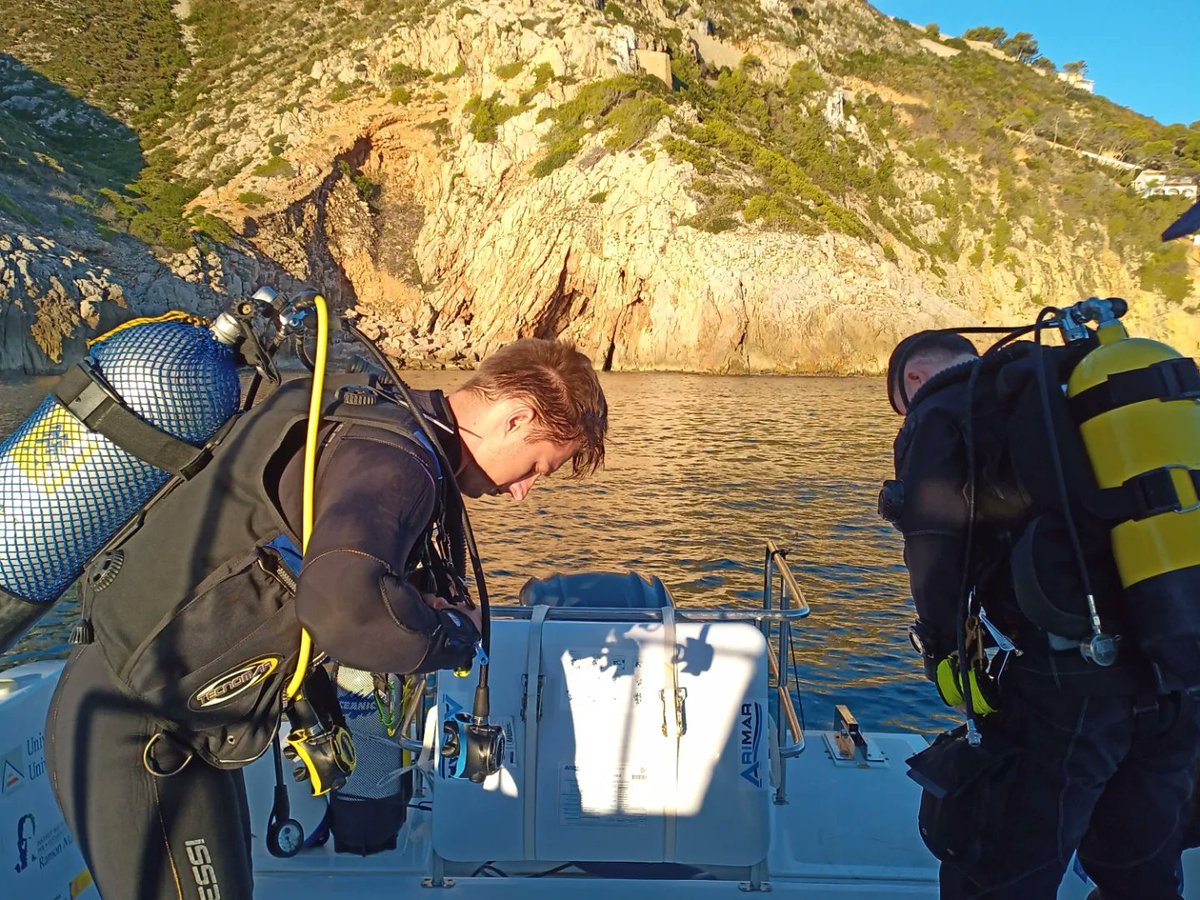 MarLabUADenia's tweet photo. Después de los #delfines, seguimos con el #censopeces del proyecto #ObsermarCV  de la convocatoria #Thinikazul en los fondos de #Dénia y #Jávea.

@ua_universidad @ciencias_ua #pesca #AMP #reservamarina https://t.co/dc4rHnLHNd