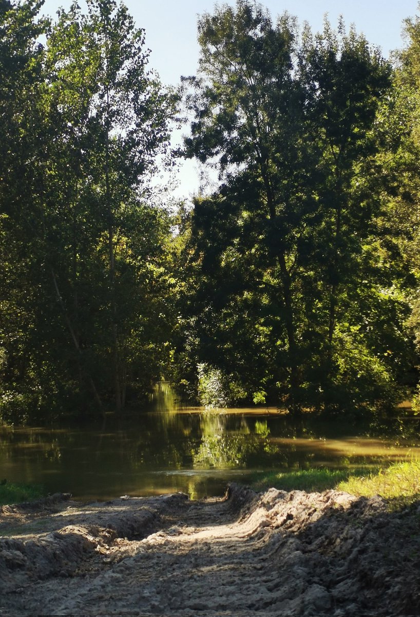 DzseniHu's tweet photo. Testing with some photo stuff, these ones are the best ones yet.

(Ps: the water looks shit brown, so just don't pay attention to that 😅) https://t.co/SwDlCTvcRs