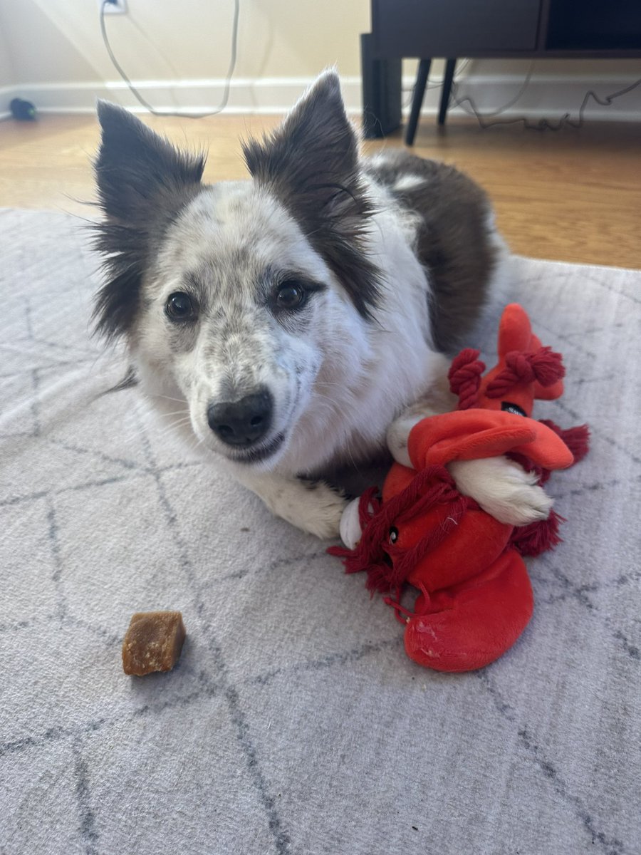 Practicing for my WWE tryout