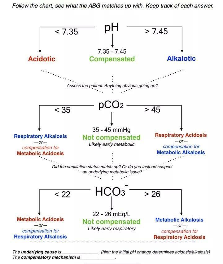 ZHeart11768530's tweet photo. 🔴ABG Interpretation⤵️ 
        
#ECG #ekg #ekgtech #EKGInterpretation 
 #FOAMed #MedEd #medstudent #paramedic #Cardiology #CardioEd #medtwitter #meded #CardioTwitter #cardiotwiteros  #MedX #cardiovascular #MedTwitter #medical #medEd #cardiotwitter #medicine https://t.co/fn4OswEHlz