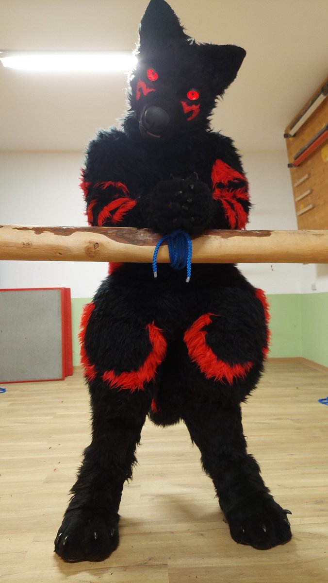 Dumb Dog Mastix tweet media