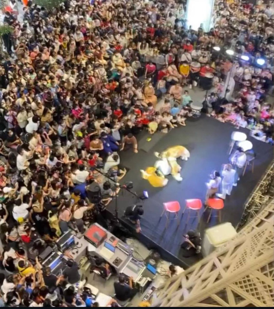 Mystral_777's tweet photo. Yo @IcedKnife hear me out, 
Moodeng is in thailand
#Joommeng is in thailand 

They are both popular with the people

 And moondeng whales are heavy bidding and bullposting joommeng, could he go near Moodeng? Whats ur opinion