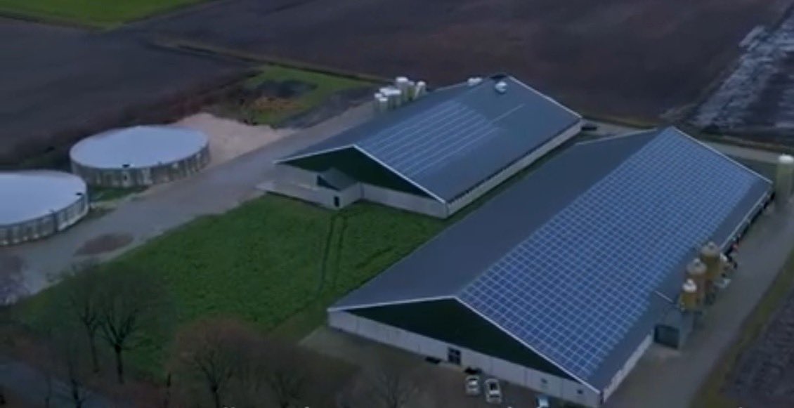 sabinegrobbink's tweet image. Onze #varkens 🐖leven #duurzaam♻️
Sinds gisteren 
✅ #accu #energie #opslag 🔋

✅ #zonnepanelen 🌞
✅ #warmtepomp 🛏️
✅ #warmtewisselaar 🔀
✅ #ledverlichting 💡
✅ #isolatie muur, dak, vloer 
✅ #voedselverspilling 🍽️ reststromen 
✅ #mestverwerking 💩
✅ #kringlooplandbouw ♻️