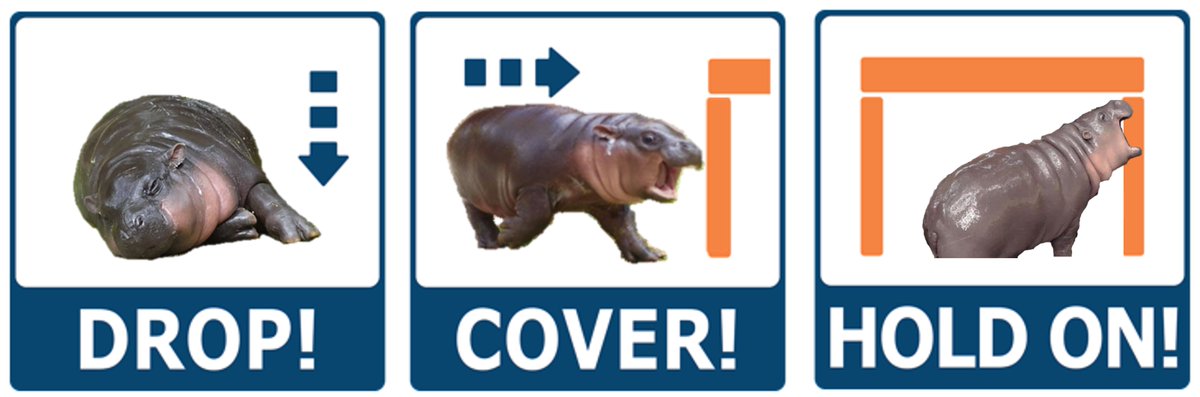 Washington ShakeOut tweet media