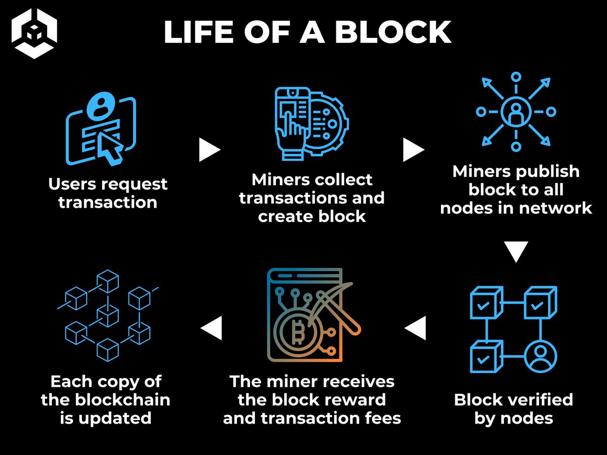 theengineermind's tweet image. How does a block get created and processed in the world of blockchain? Here’s the life cycle of a block! 💡 #Blockchain #Cryptocurrency #TechExplained