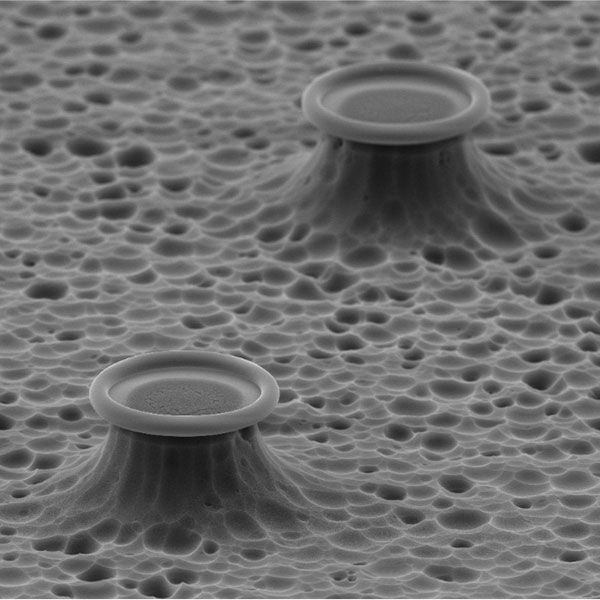 OPNmagazine's tweet image. Researchers from @uarizona have created a platform, called FLOWER, capable of detecting a single macromolecule.

Future applications for FLOWER range from pathogen and drug testing to creating an optical nose. 

Read the story: bit.ly/47EpASJ

#biosensing #optics #biomed