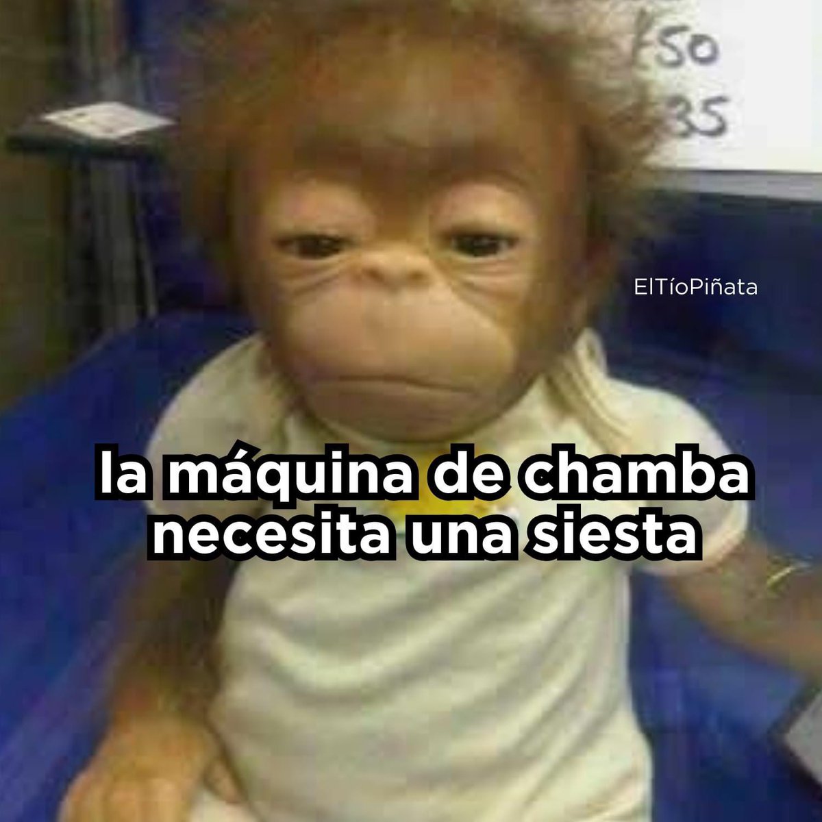 El Guarromántico tweet media