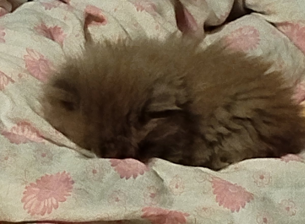 200 гр чистой ярости