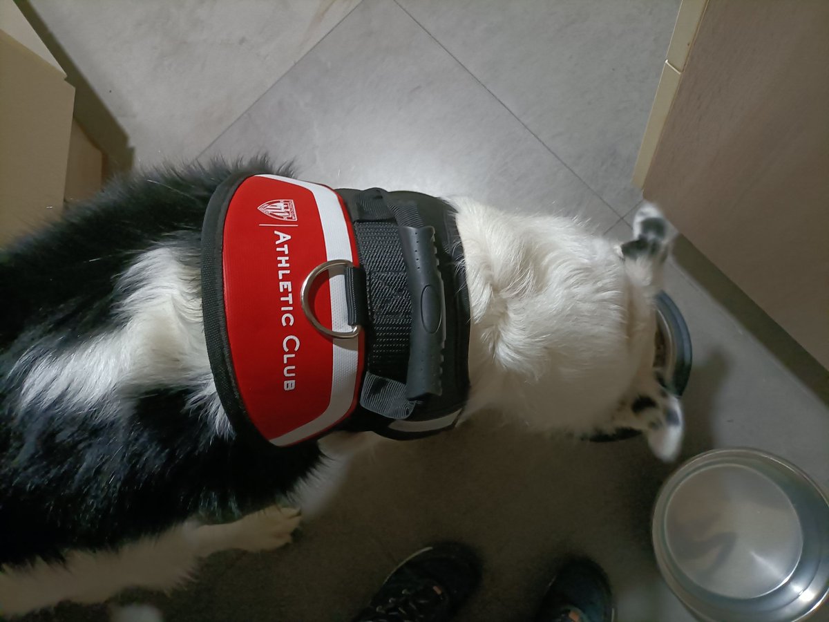 Animando desde casa. Aupa <a href="/AthleticClub/">Athletic Club</a> !