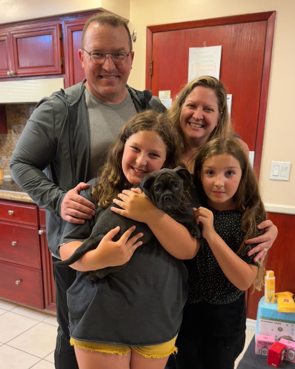 dog_rates's tweet photo. This is Rachel. At just 9 weeks old, she and her littermates were rescued off the streets. She had a rectal prolapse, but thanks to your recent support of our merch, @15outof10 was able to cover her $6,000 procedure. She's all healed up now and just found her forever home ❤️‍🩹 https://t.co/Nxd1E9bRHx