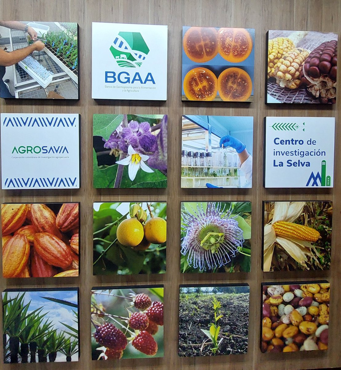 Mónica Cala tweet media