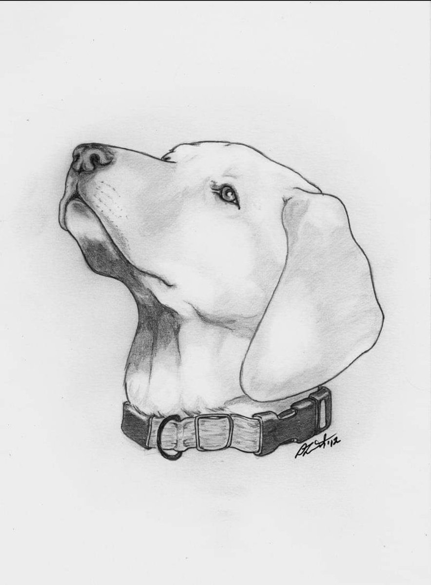 Totally forgot I drew this. It's an old blended pencil test for trying to draw fur texture. Didn't really capture the textures but the sketch still turned out nice.