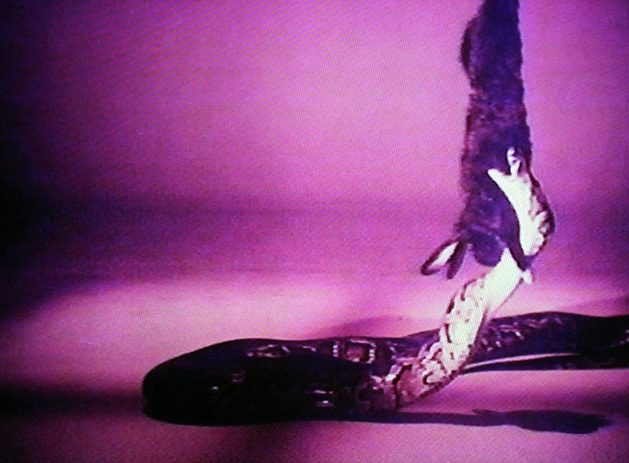 Week in Horror tweet media