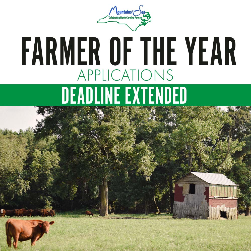 TYNCFarmers's tweet photo. Nominations should be received by October 8th.
Steps:
-Visit https://t.co/WrUZEQjIIm to download application
-Fill out application
-All applications must be submitted by local Extension, Soil &amp; Water District, or Forestry Service offices.
#ncfarmersappreciationday #mountaintosea https://t.co/yZAOvBCSs4