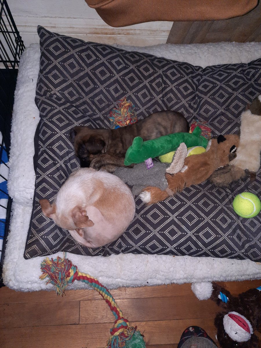 Knotmynewb aka Knotz tweet media