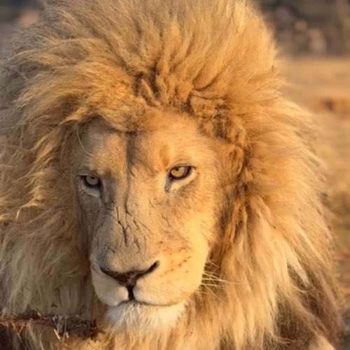 Mateo 🐸 Яebel tweet media