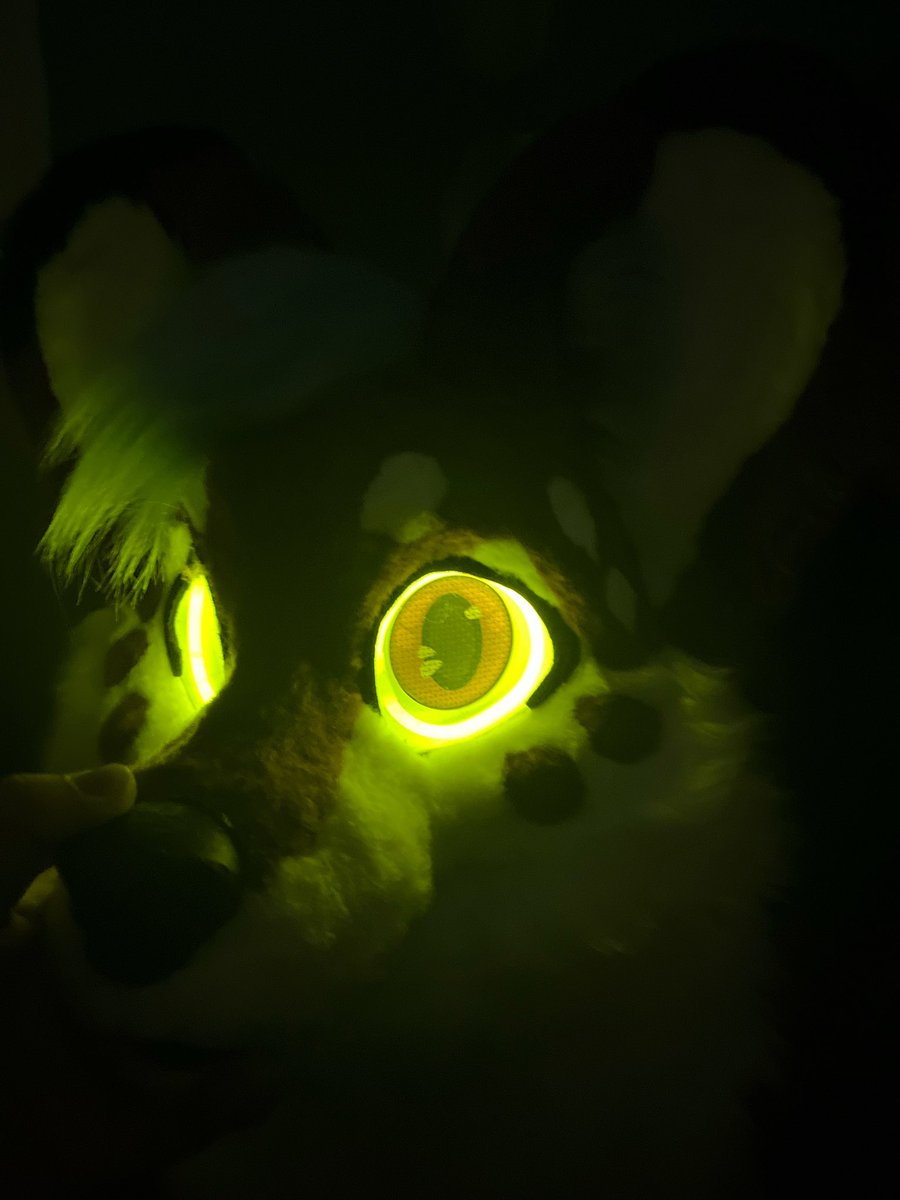 AgentLupusKM's tweet photo. See ya on Wroclaw Fursuitwalk 2024! https://t.co/sLIjNJDYJv