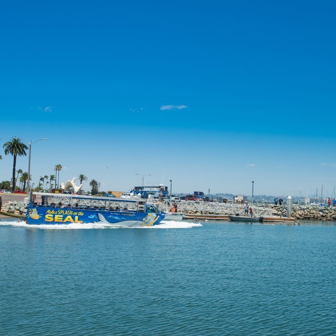 SealTours's tweet photo. Time to dive into adventure! 🌊 🚤

Join us today and experience the best of San Diego on sea and land. Don't miss out on the fun! ⬇️
https://t.co/4cCAIzRAPI https://t.co/0hw42OsQxW