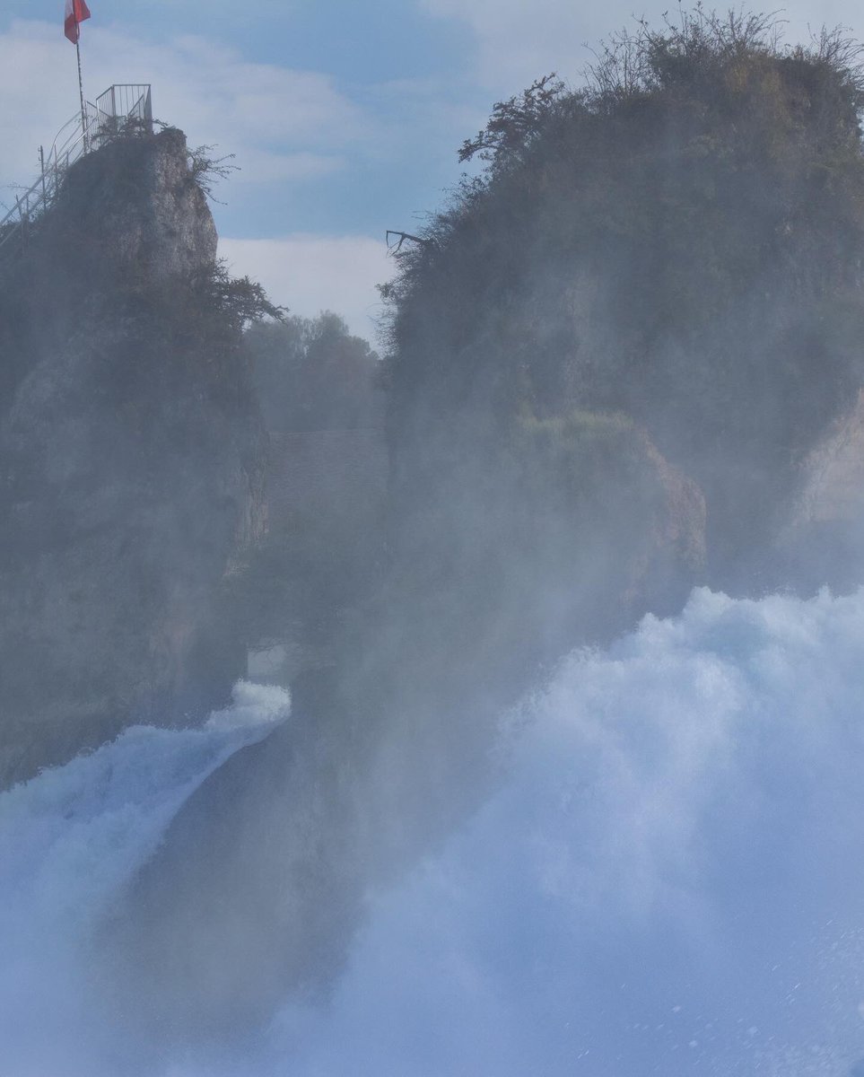 Janina (@janina_anja) on Twitter photo 