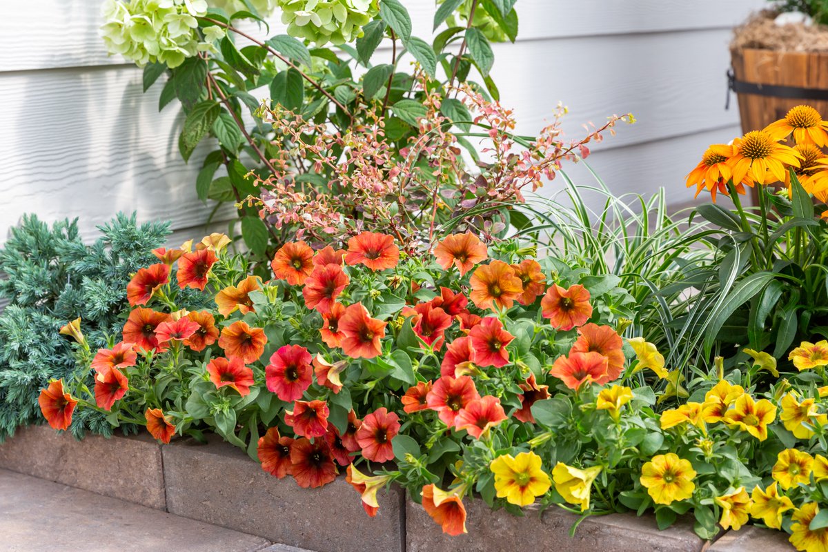 MetrolinaGreenhouses tweet media